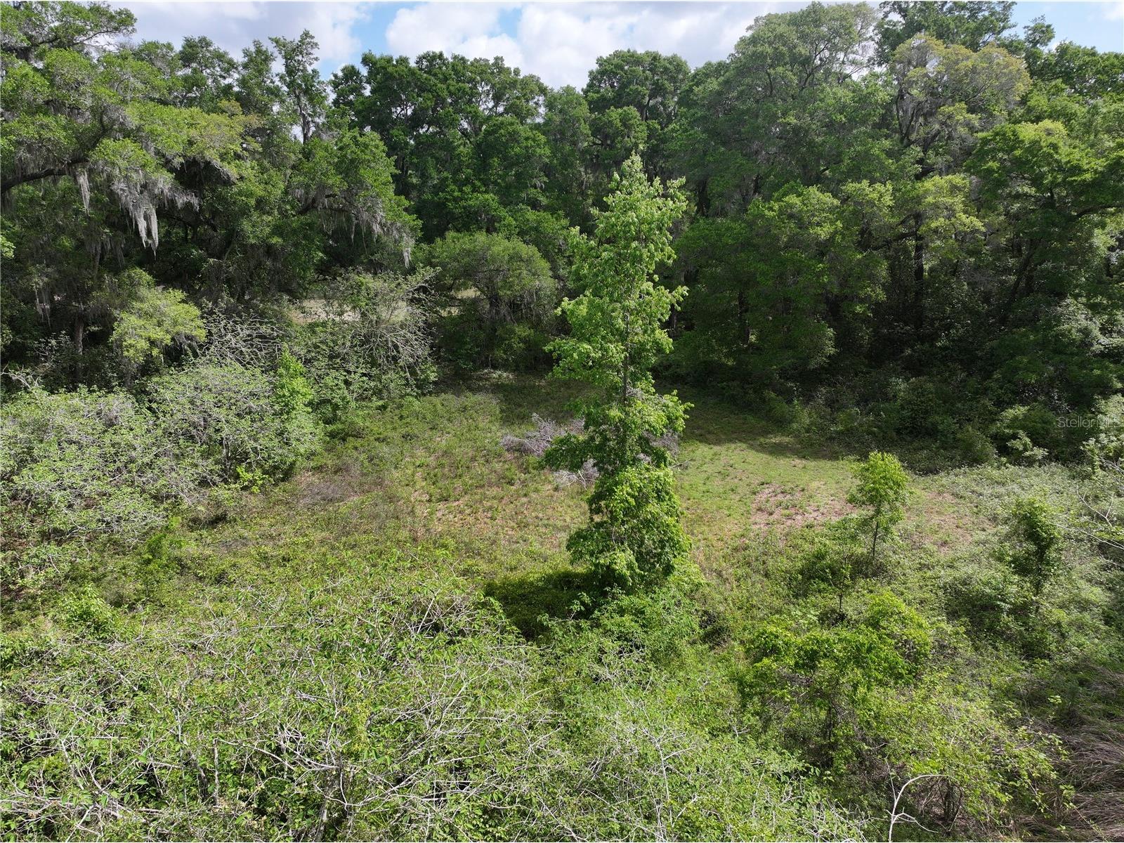 15825 NW 38th Avenue Reddick FL 32686 A4688206 image8