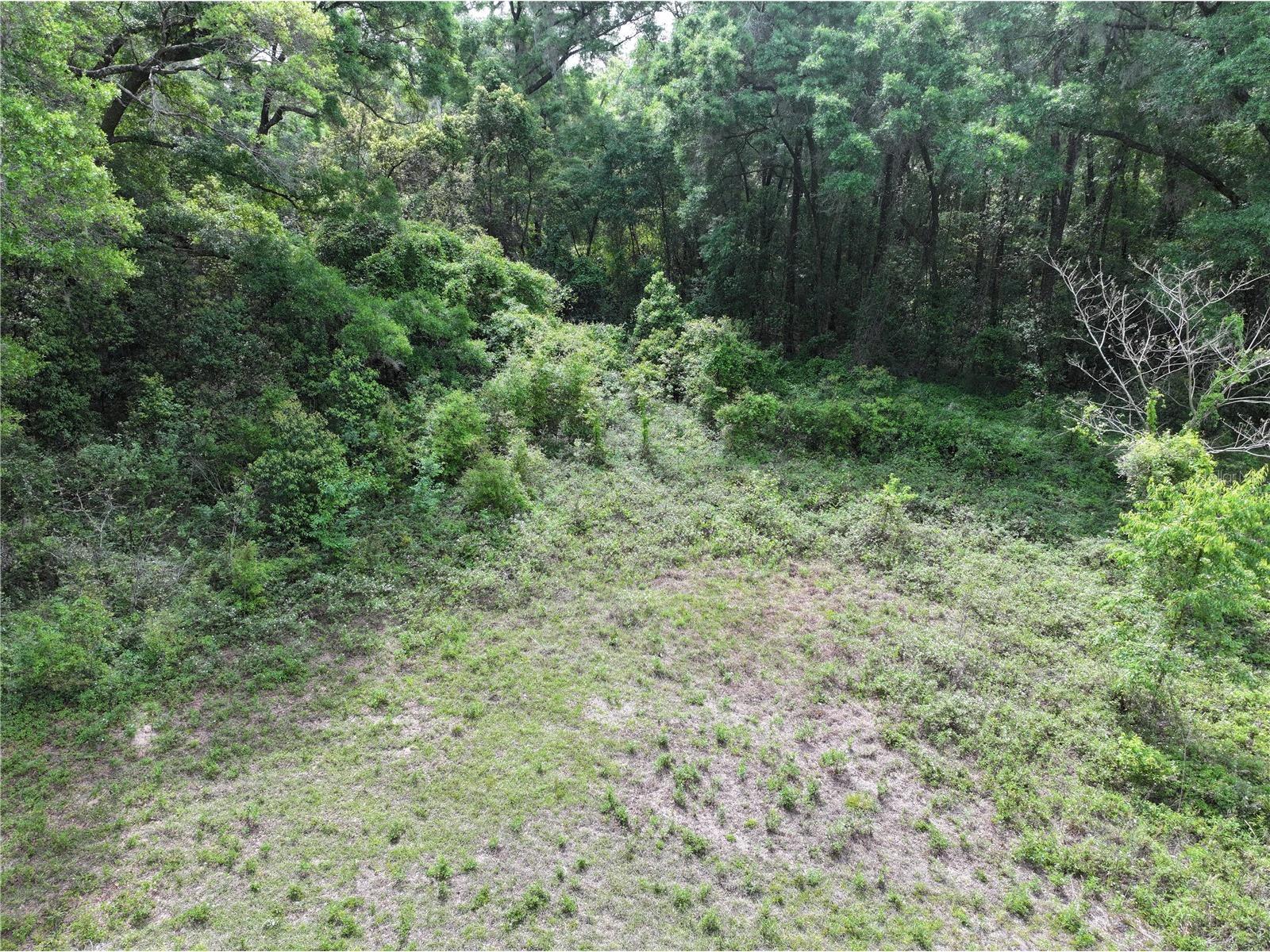 15825 NW 38th Avenue Reddick FL 32686 A4688206 image9