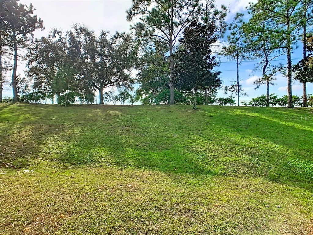 15825 Robin Hill Loop Clermont FL 34714 O6365611 image51