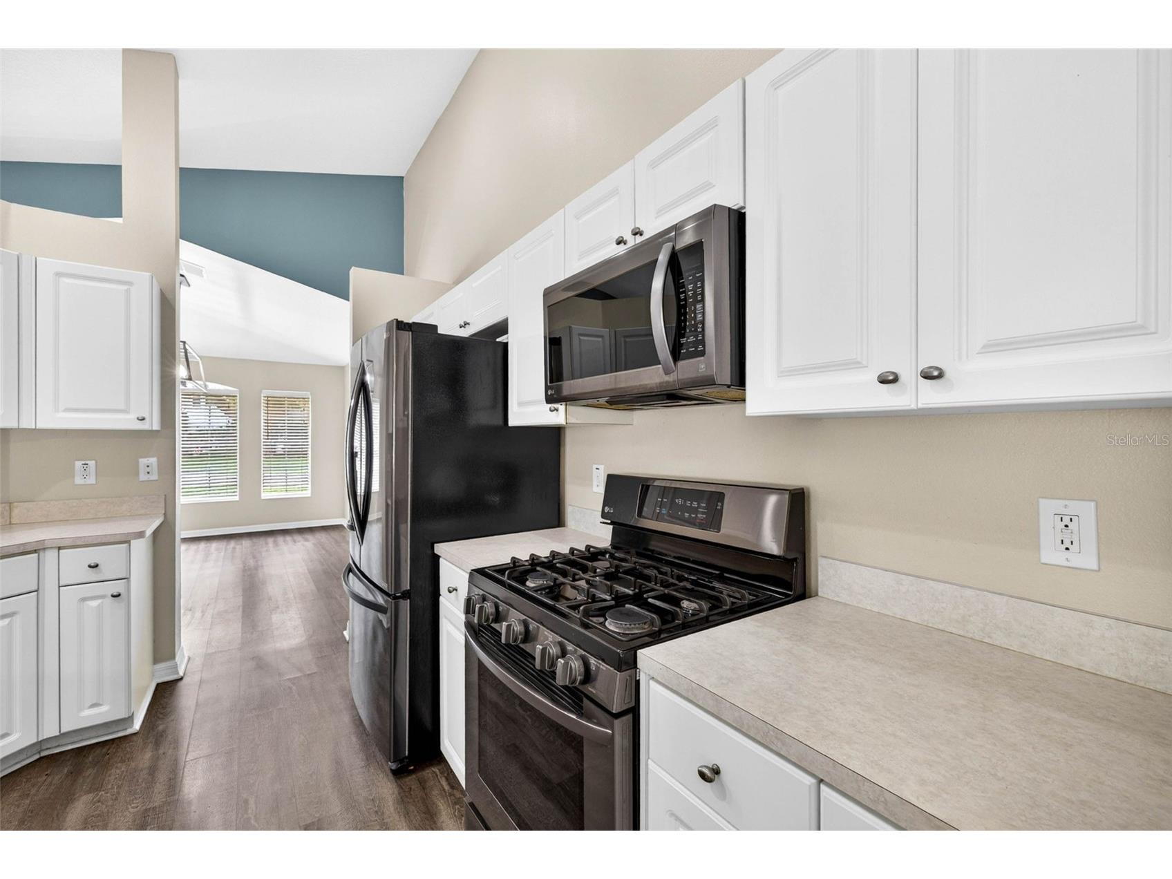 15826 Stags Leap Drive Lutz FL 33559 TB8514449 image18