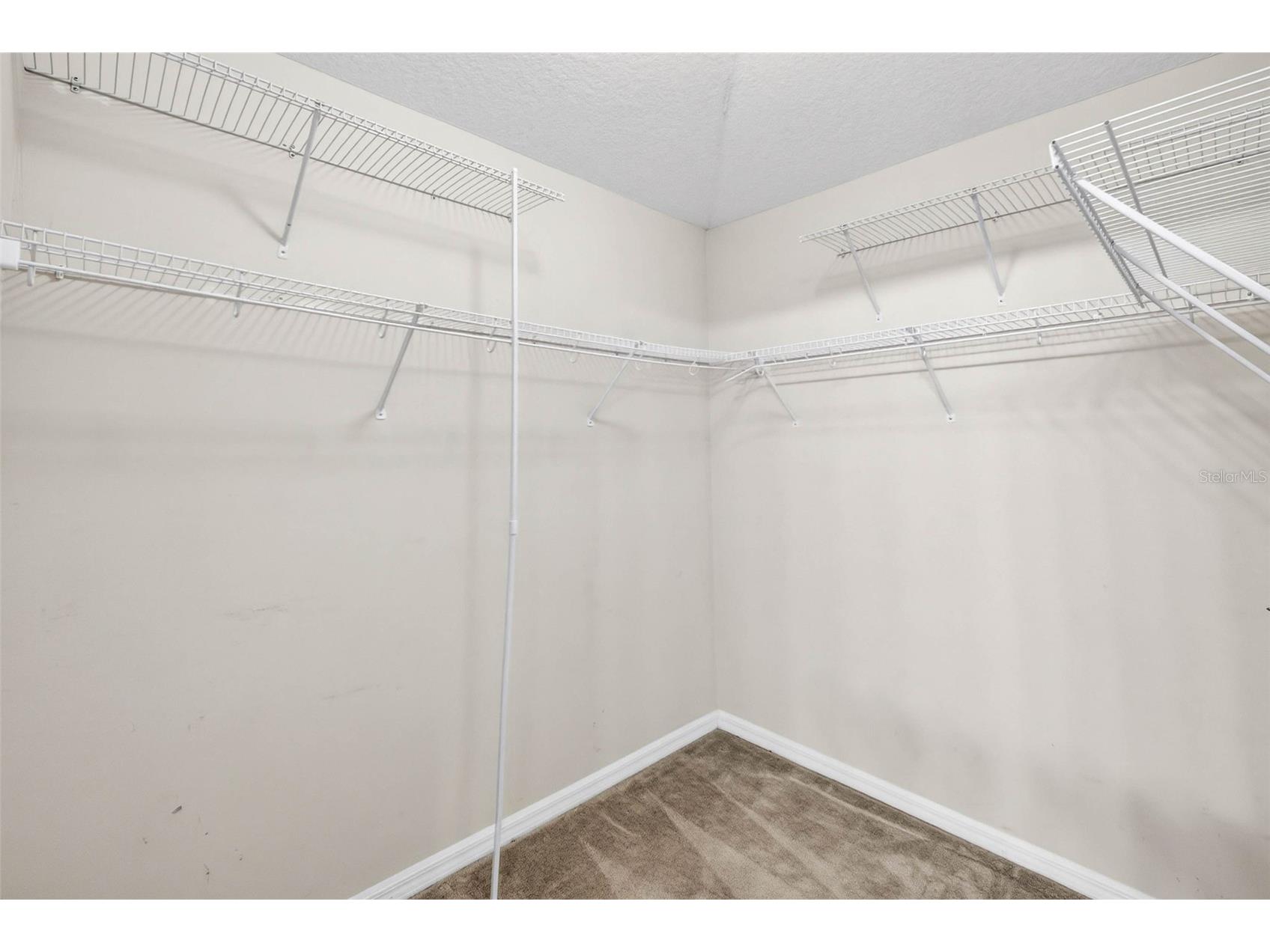 15826 Stags Leap Drive Lutz FL 33559 TB8514449 image39