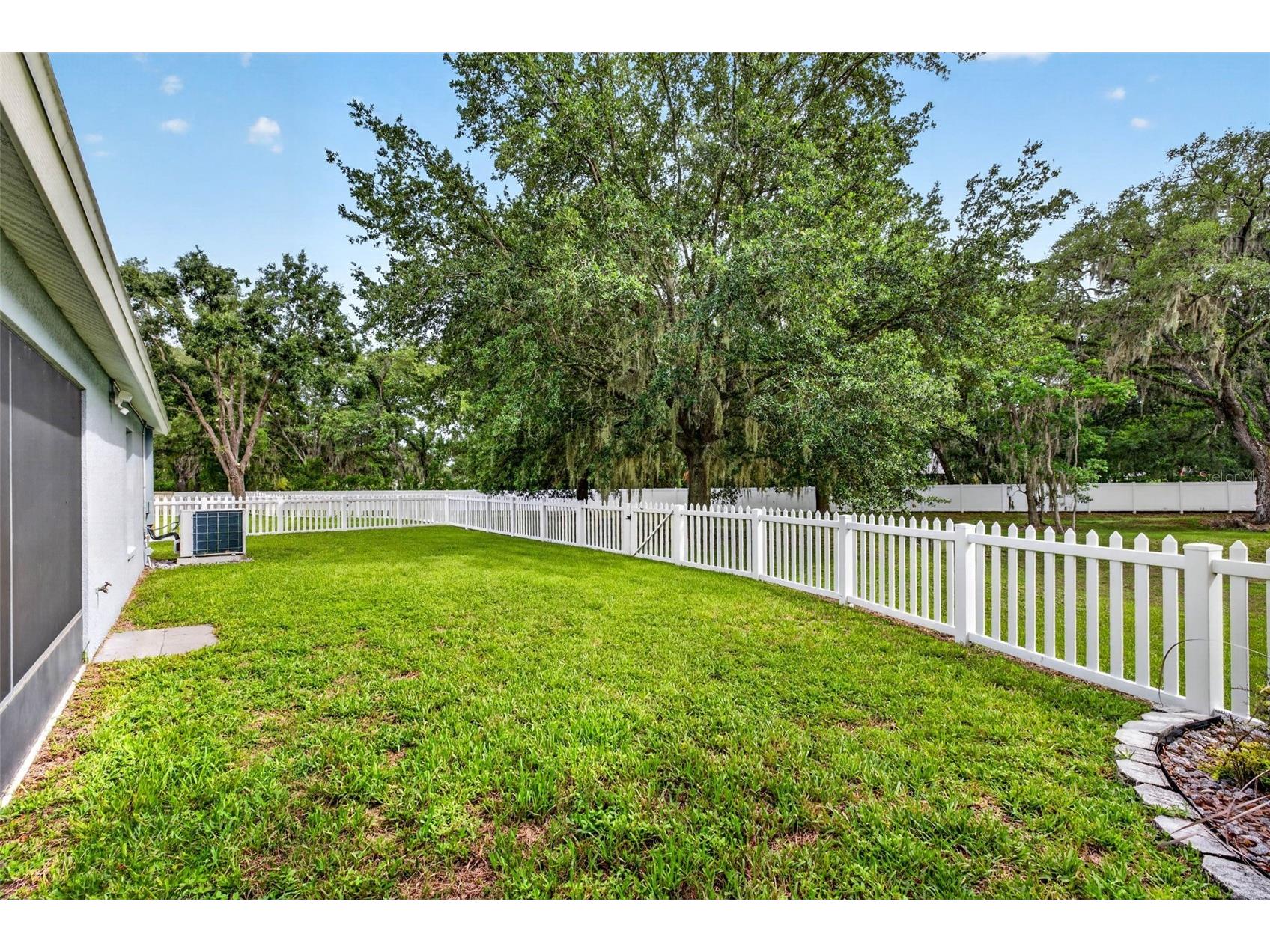 15826 Stags Leap Drive Lutz FL 33559 TB8514449 image43
