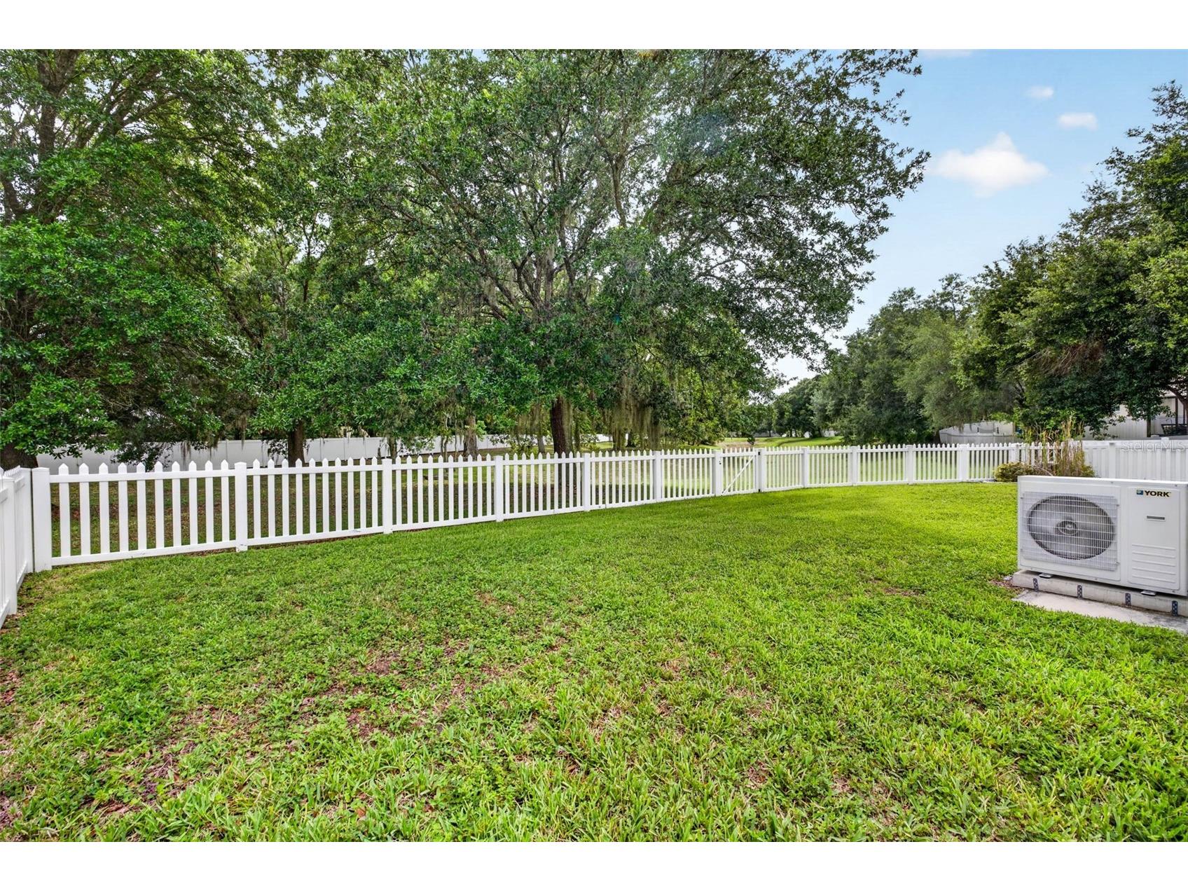 15826 Stags Leap Drive Lutz FL 33559 TB8514449 image44