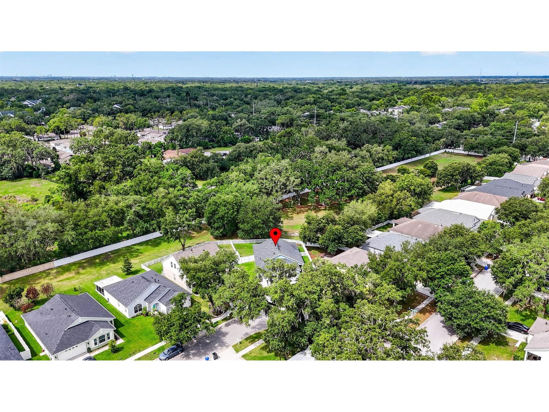 15826 Stags Leap Drive Lutz FL 33559 TB8514449 image48