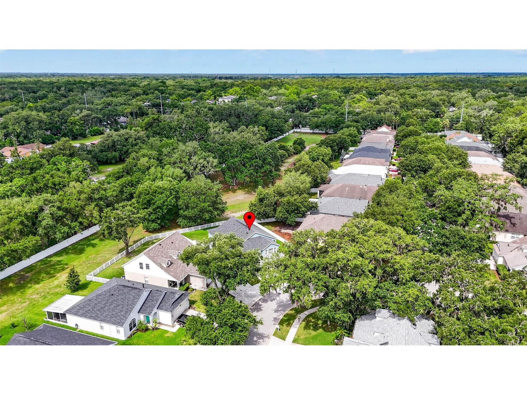 15826 Stags Leap Drive Lutz FL 33559 TB8514449 image50