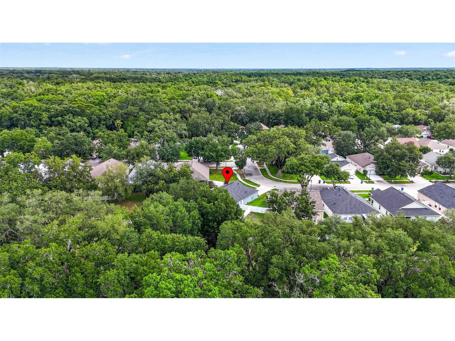 15826 Stags Leap Drive Lutz FL 33559 TB8514449 image51