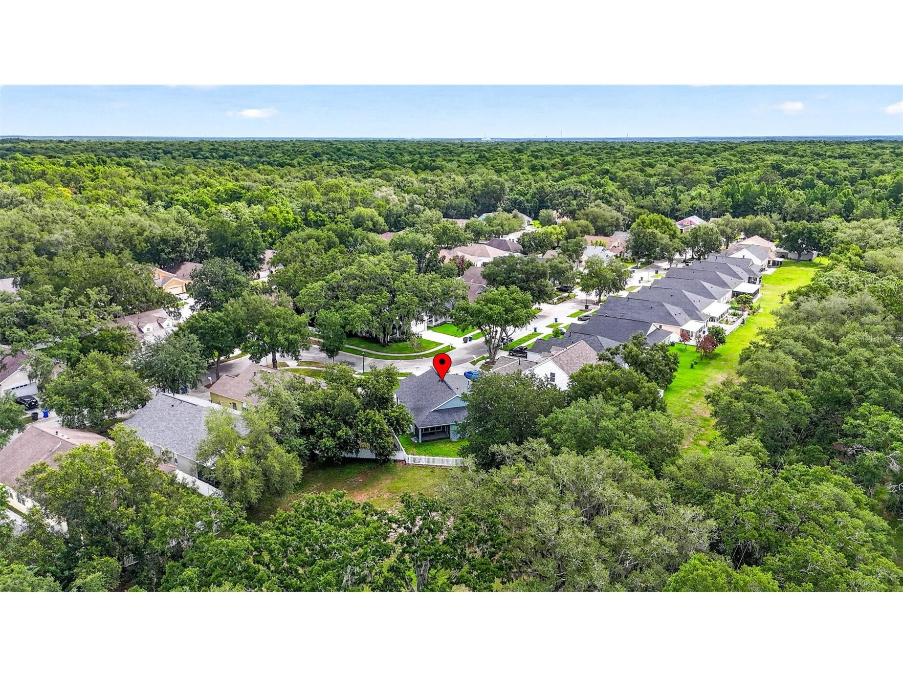 15826 Stags Leap Drive Lutz FL 33559 TB8514449 image52