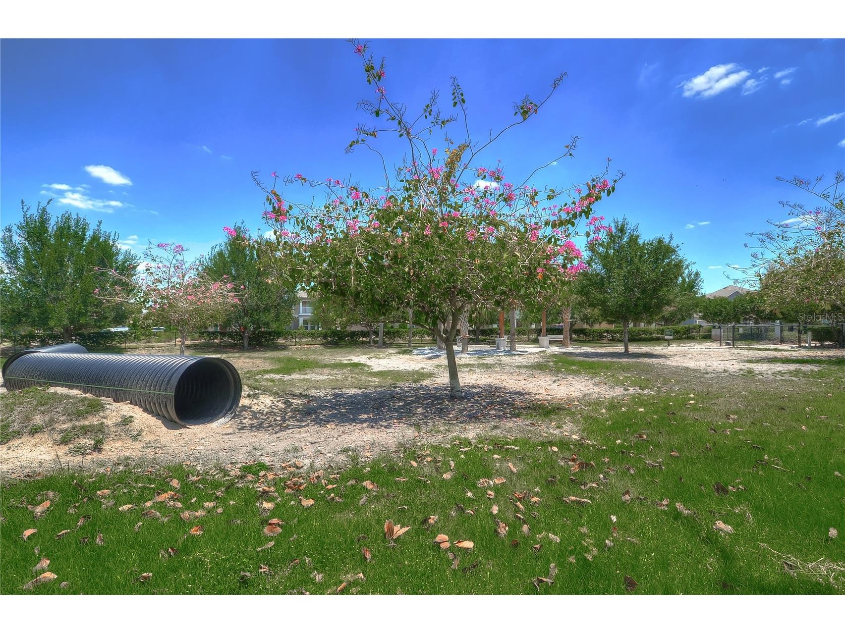 15827 Starling Water Drive Lithia FL 33547 TB8491923 image35