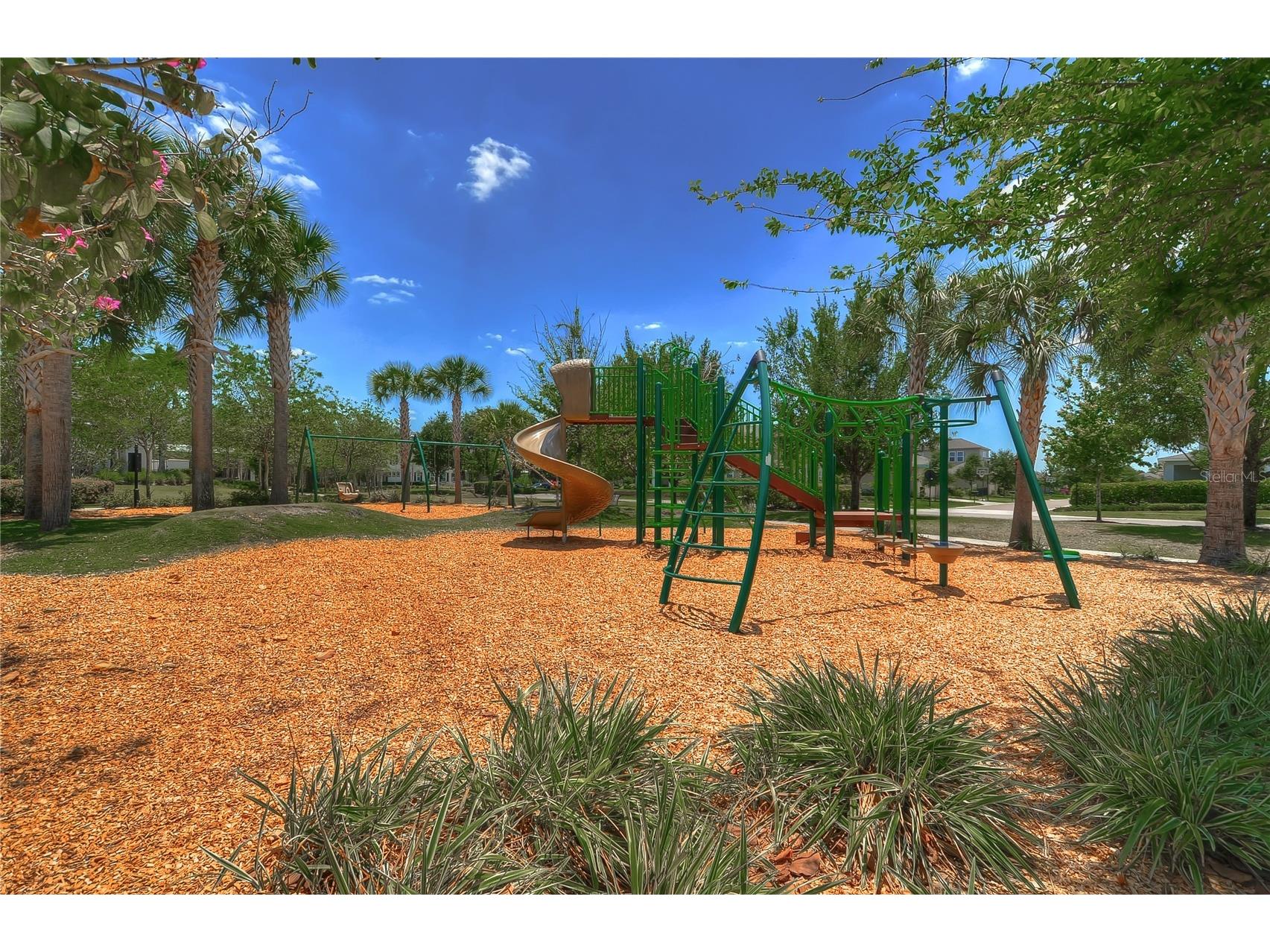 15827 Starling Water Drive Lithia FL 33547 TB8491923 image38