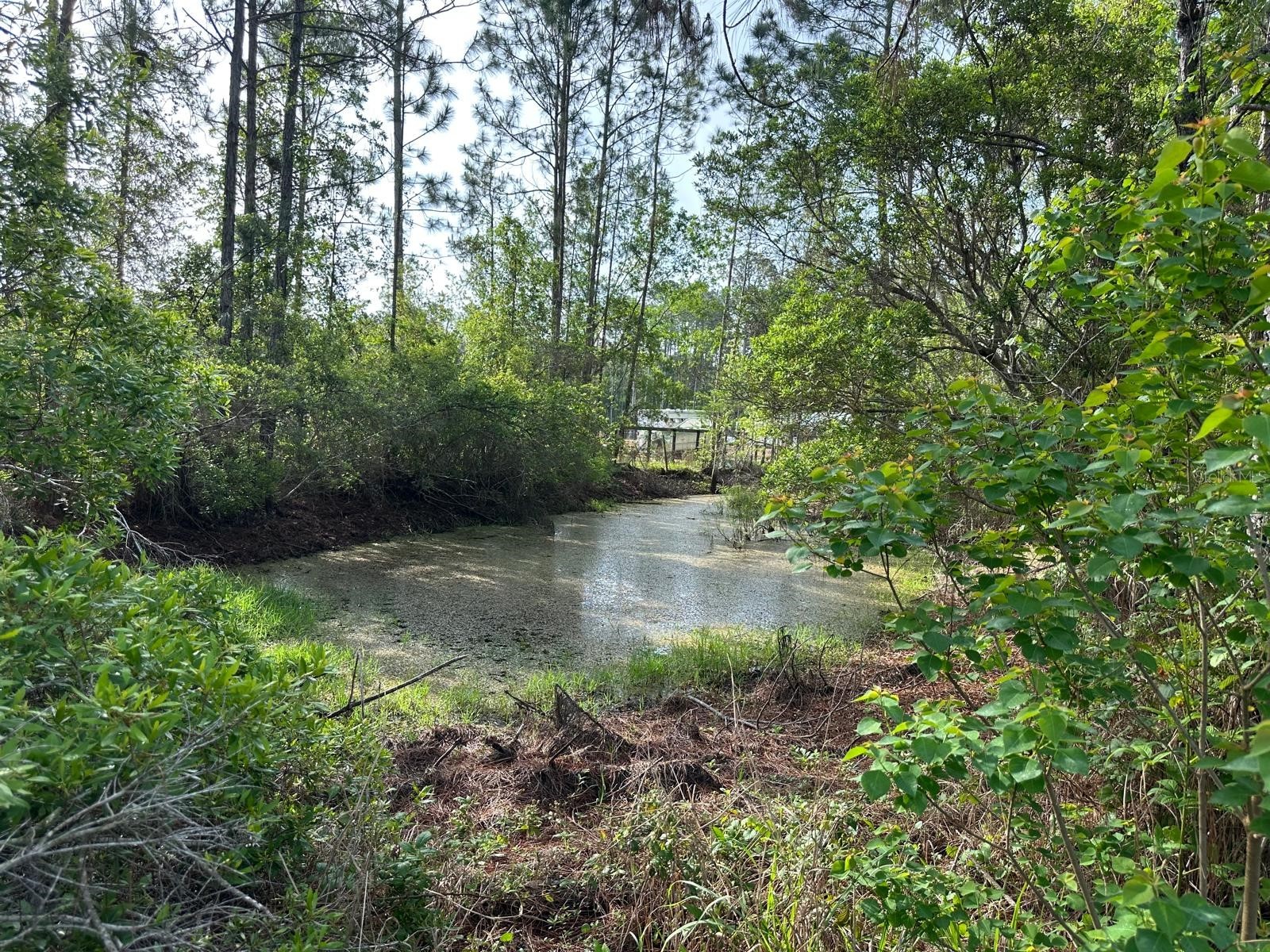 1583 Beech Boulevard Bunnell FL 32110 FC317515 image4