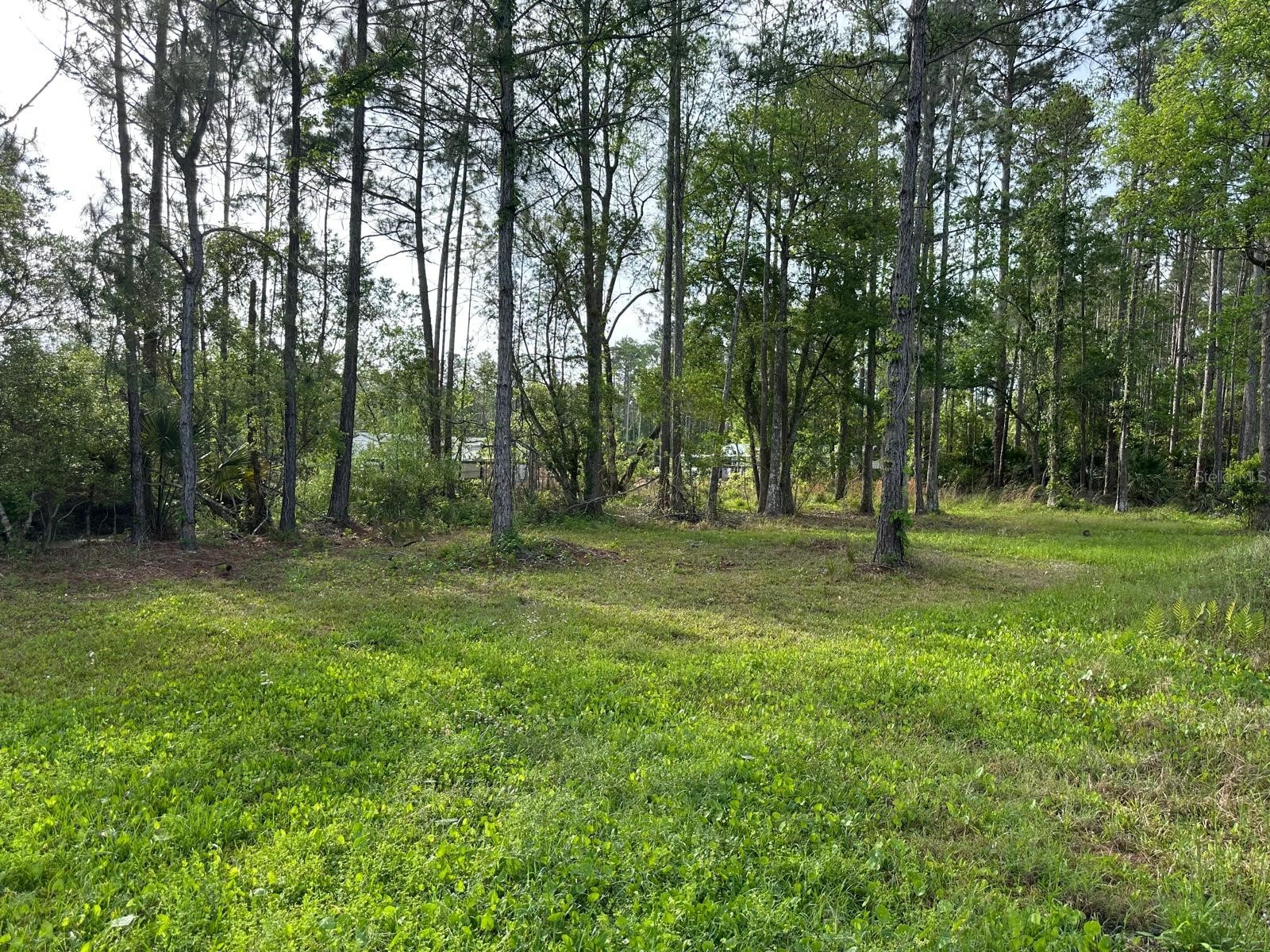 1583 Beech Boulevard Bunnell FL 32110 FC317515 image40