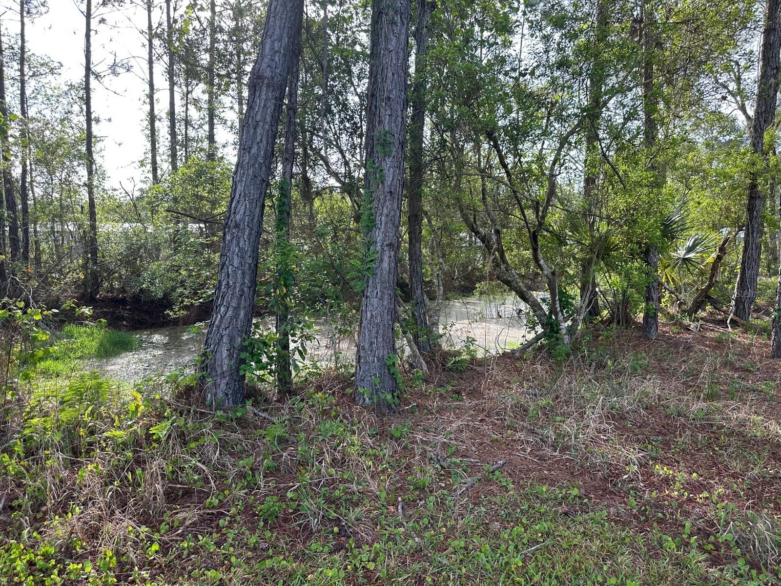 1583 Beech Boulevard Bunnell FL 32110 FC317515 image5