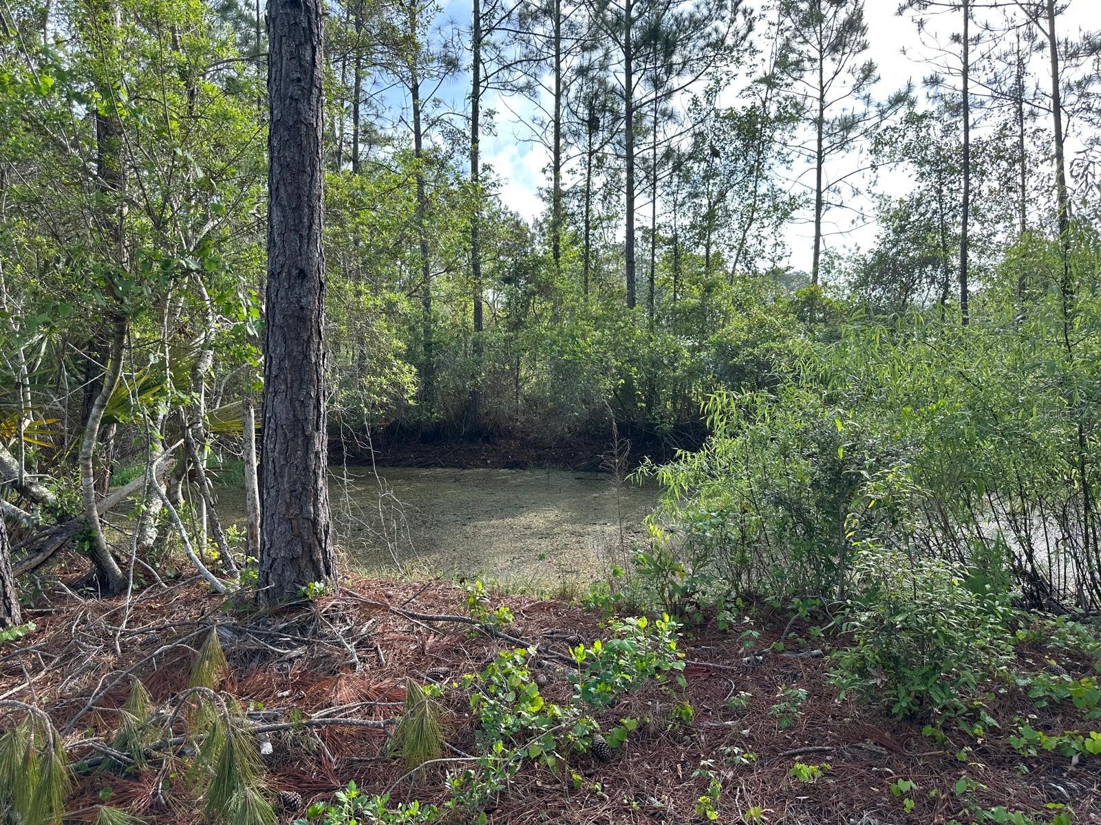 1583 Beech Boulevard Bunnell FL 32110 FC317515 image6