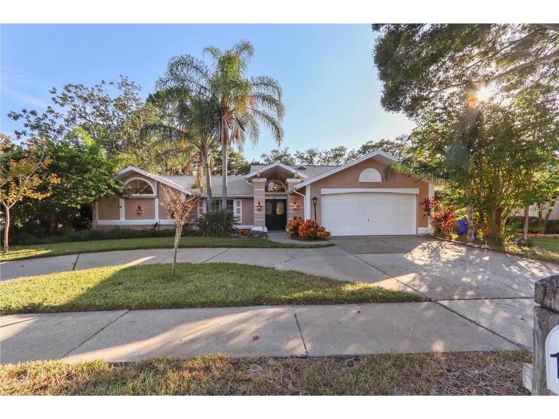 1583 Mcauliffe Lane Palm Harbor FL 34683 U8220725 image1