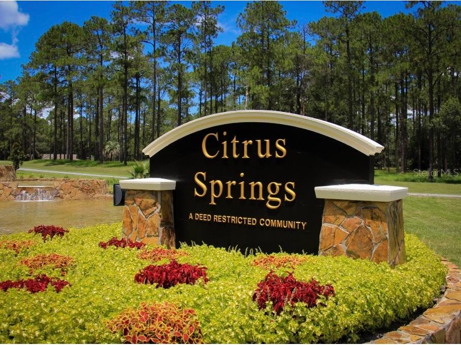 1583 W Country Club Boulevard Citrus Springs FL 34434 OM710170 image3