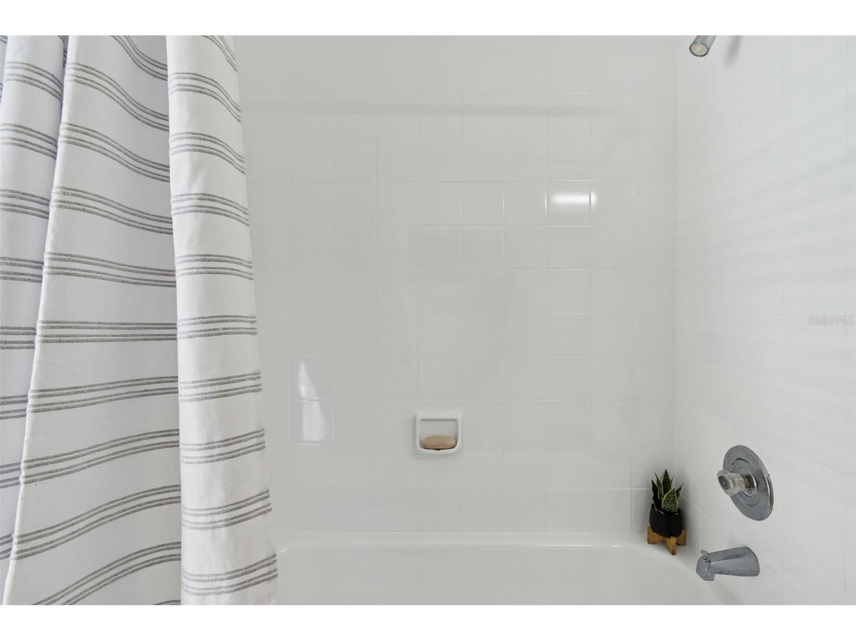 15830 Glenarn Drive Tampa FL 33618 TB8478979 image29