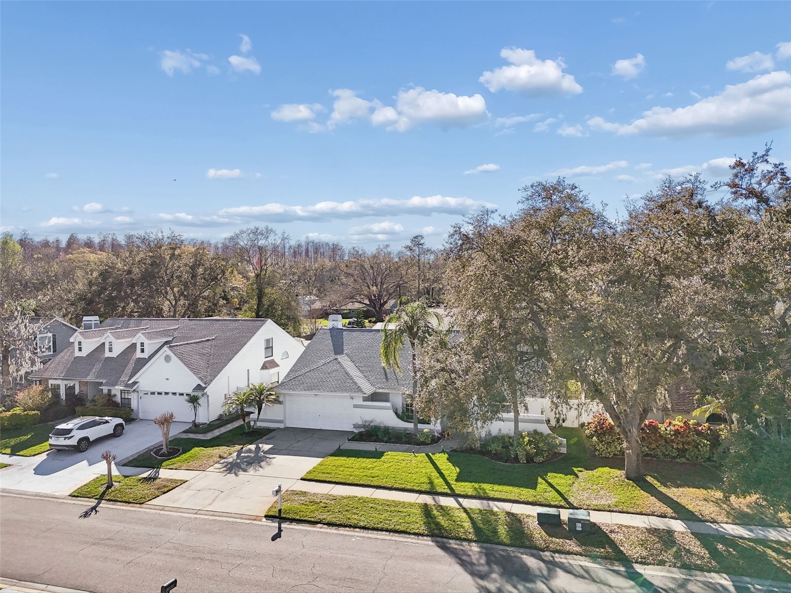 15830 Glenarn Drive Tampa FL 33618 TB8478979 image51