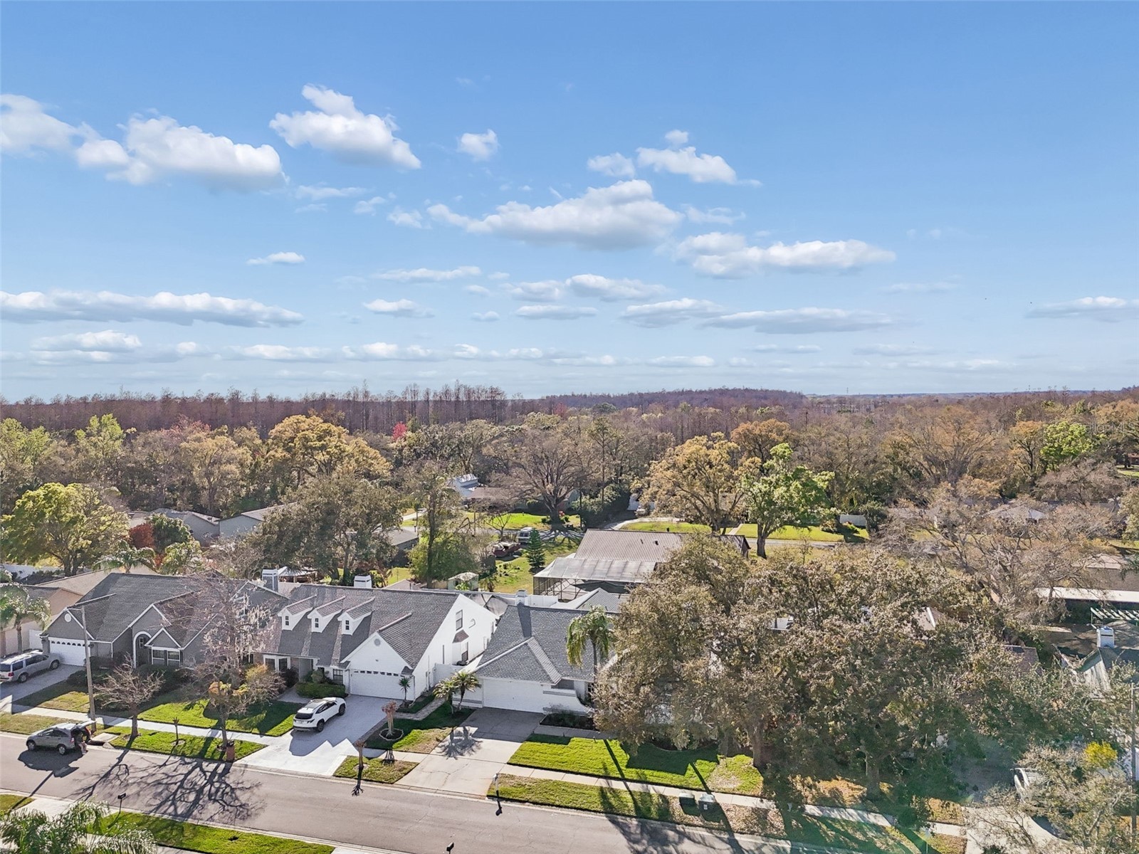 15830 Glenarn Drive Tampa FL 33618 TB8478979 image52