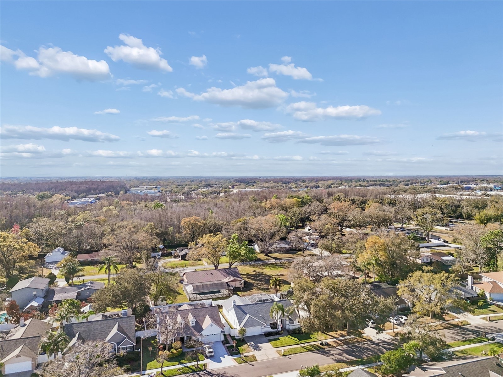 15830 Glenarn Drive Tampa FL 33618 TB8478979 image53