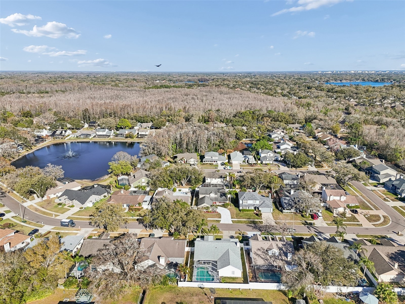 15830 Glenarn Drive Tampa FL 33618 TB8478979 image56