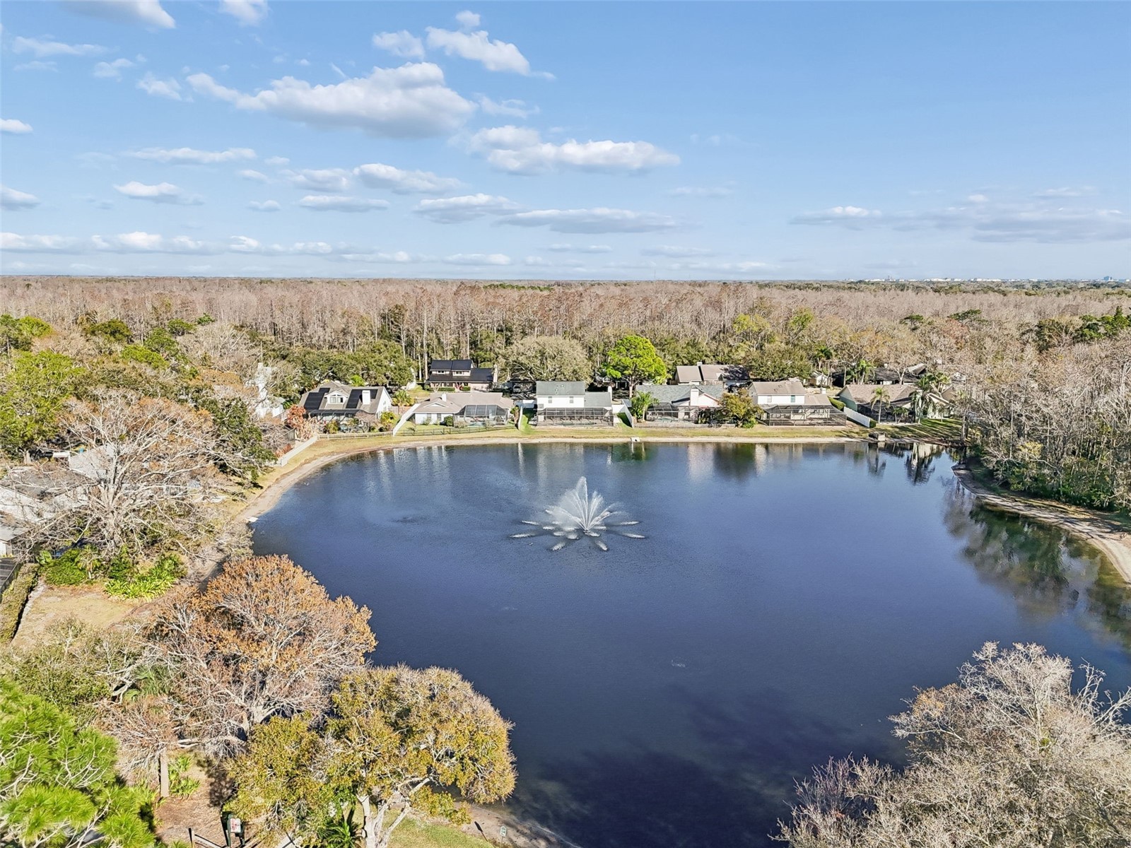 15830 Glenarn Drive Tampa FL 33618 TB8478979 image57