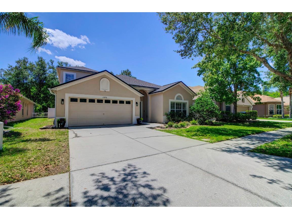 15830 Leatherleaf Lane Land O Lakes FL 34638 T3442532 image1