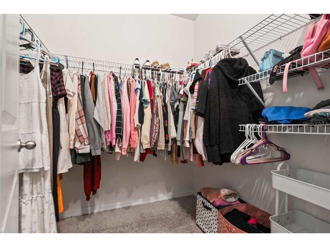 15830 Sea Canary Place Odessa FL 33556 TB8424233 image21