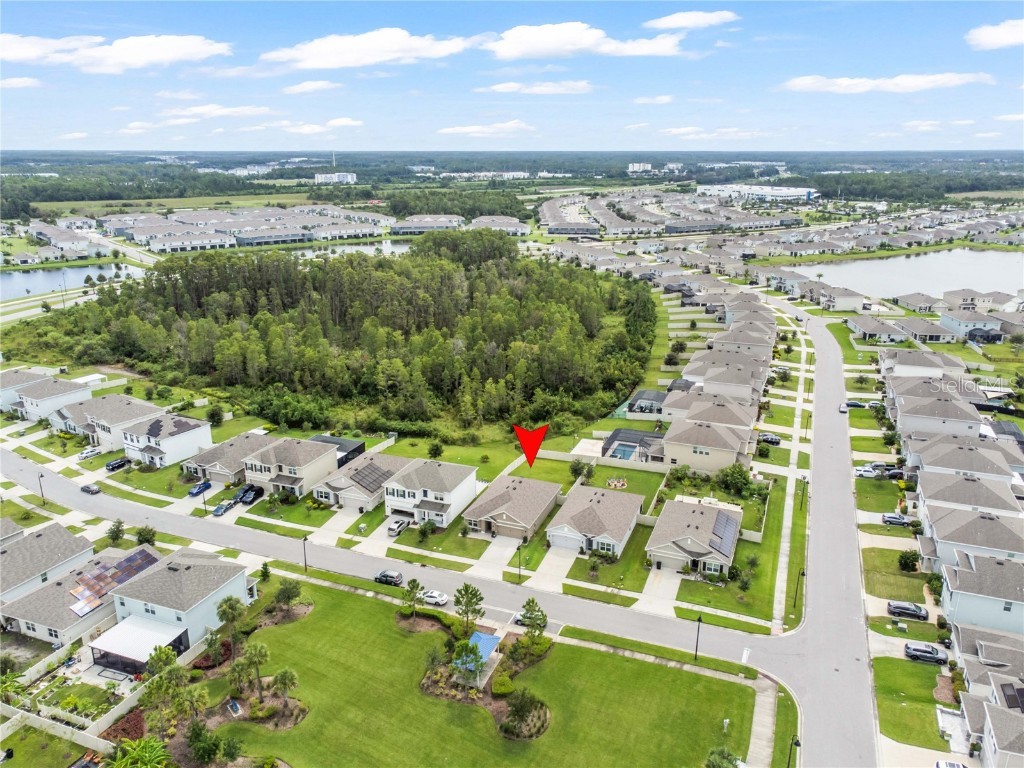 15830 Sea Canary Place Odessa FL 33556 TB8424233 image55