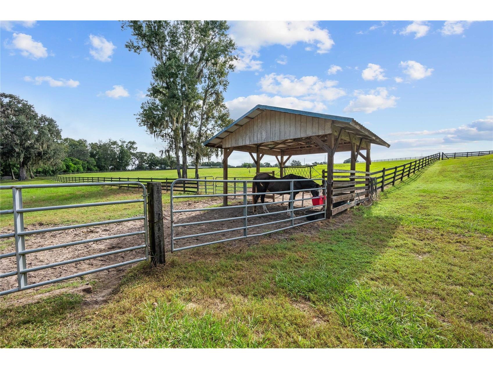 15833 Jessamine Road Dade City FL 33523 TB8433853 image10