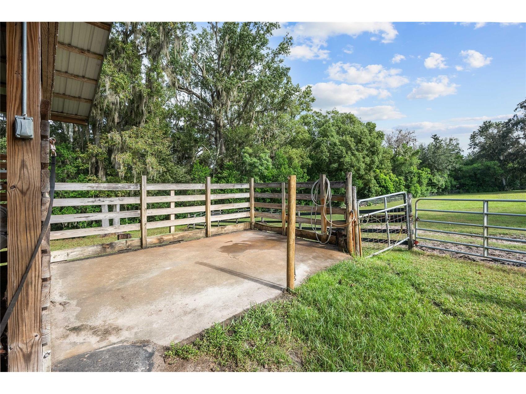 15833 Jessamine Road Dade City FL 33523 TB8433853 image16