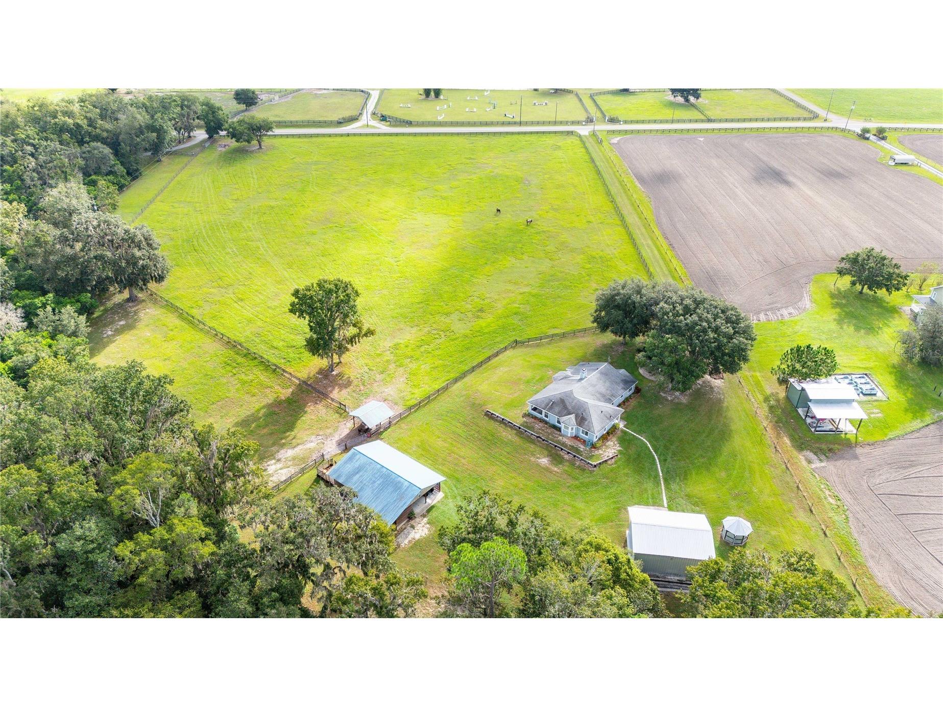 15833 Jessamine Road Dade City FL 33523 TB8433853 image7