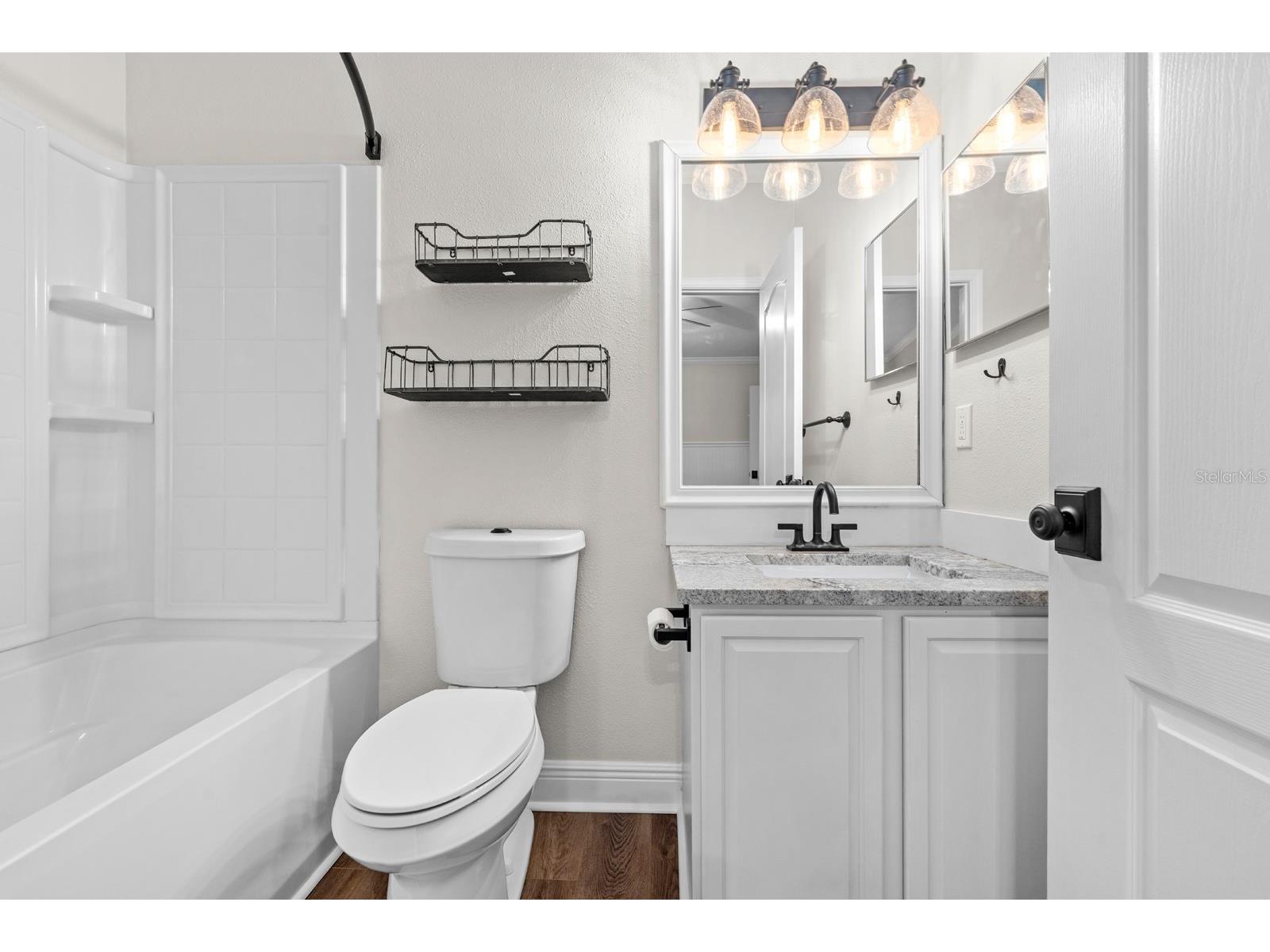 15836 Fishhawk Falls Drive Lithia FL 33547 TB8514641 image15