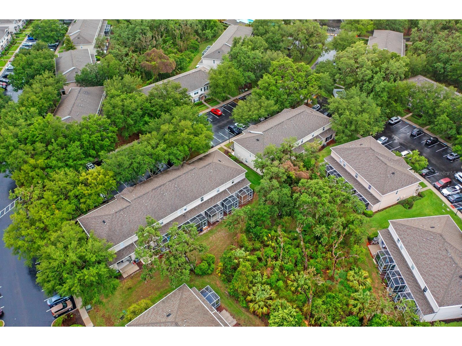 15836 Fishhawk Falls Drive Lithia FL 33547 TB8514641 image29
