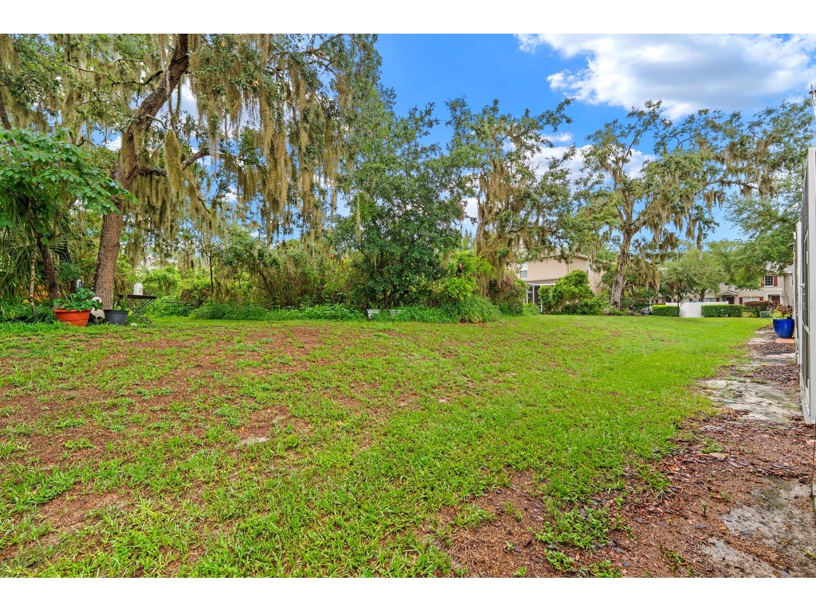15836 Fishhawk Falls Drive Lithia FL 33547 TB8514641 image31
