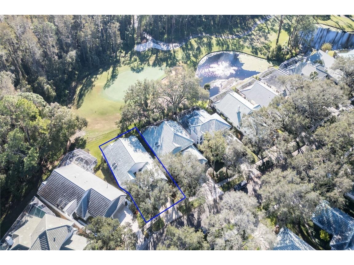 15836 Sanctuary Drive Tampa FL 33647 TB8318682 image1