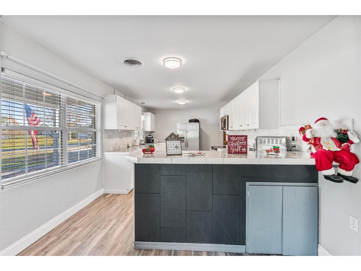 15836 Wilson Parrish Road Umatilla FL 32784 G5104381 image6