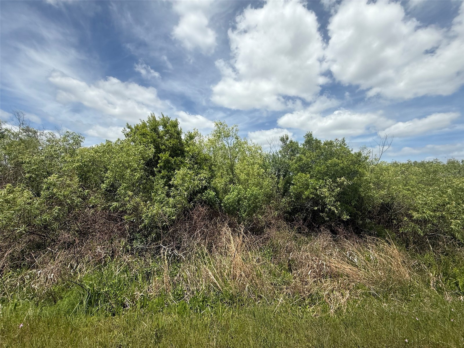 15837 NW 282nd Street Okeechobee FL 34972 K4903368 image1