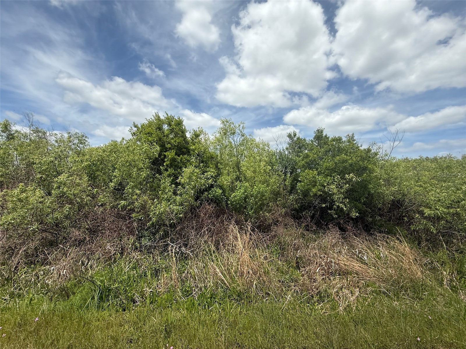 15837 NW 282nd Street Okeechobee FL 34972 K4903368 image2
