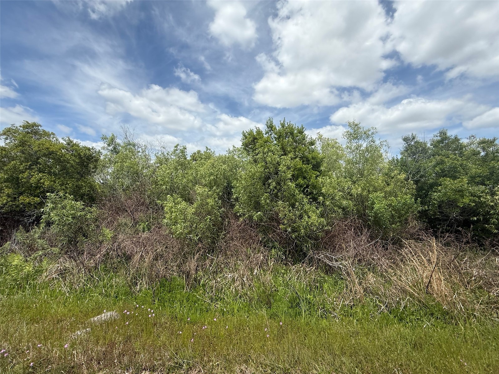 15837 NW 282nd Street Okeechobee FL 34972 K4903368 image3