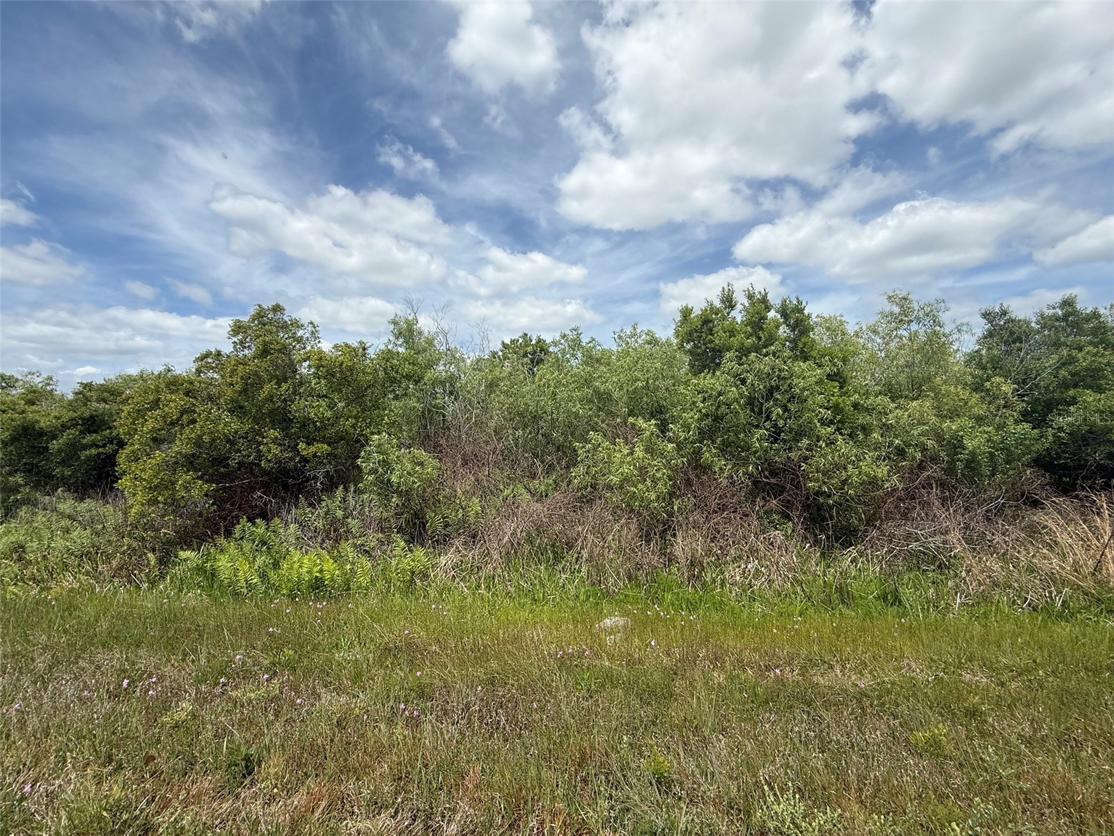 15837 NW 282nd Street Okeechobee FL 34972 K4903368 image6