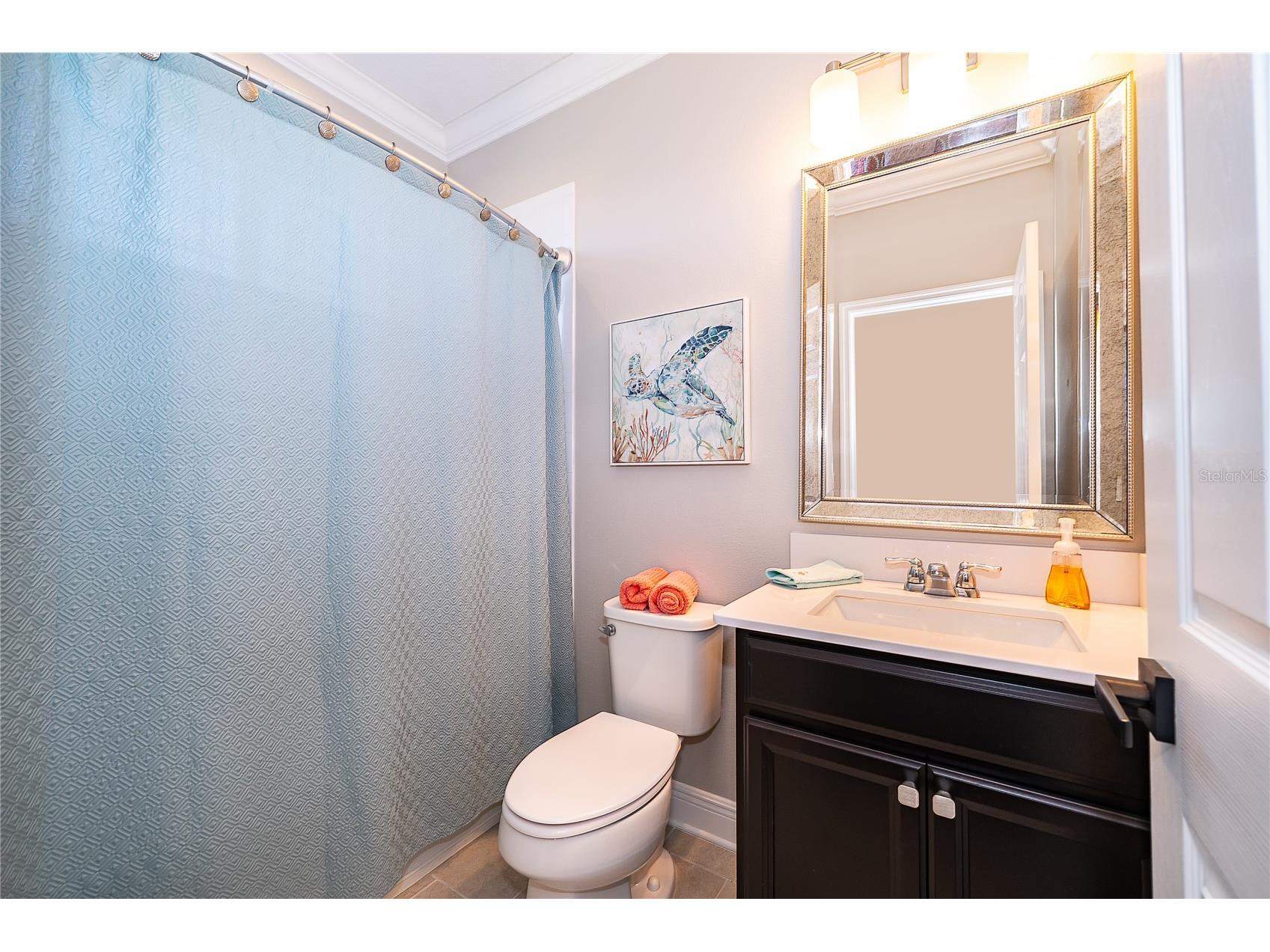 15838 Citrus Grove Loop Winter Garden FL 34787 - LAKE BURNETT S5153907 image31