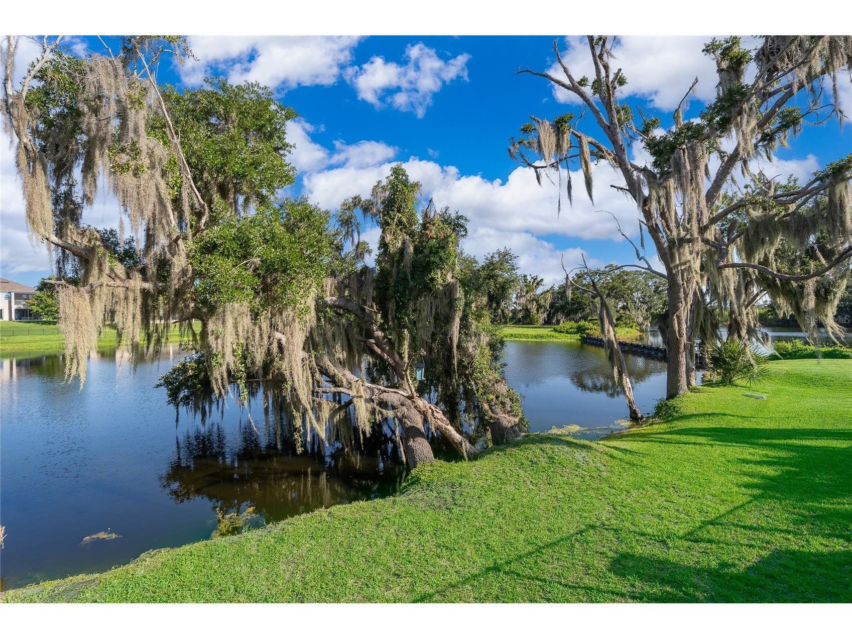 15838 Citrus Grove Loop Winter Garden FL 34787 - LAKE BURNETT S5153907 image48