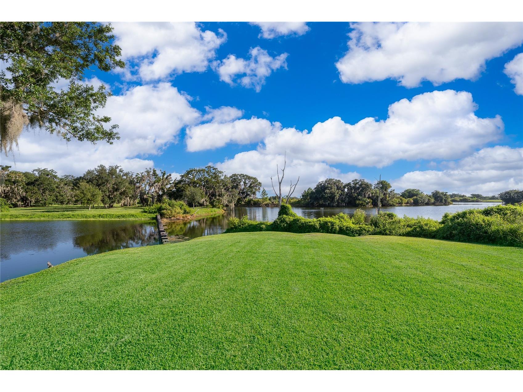 15838 Citrus Grove Loop Winter Garden FL 34787 - LAKE BURNETT S5153907 image51