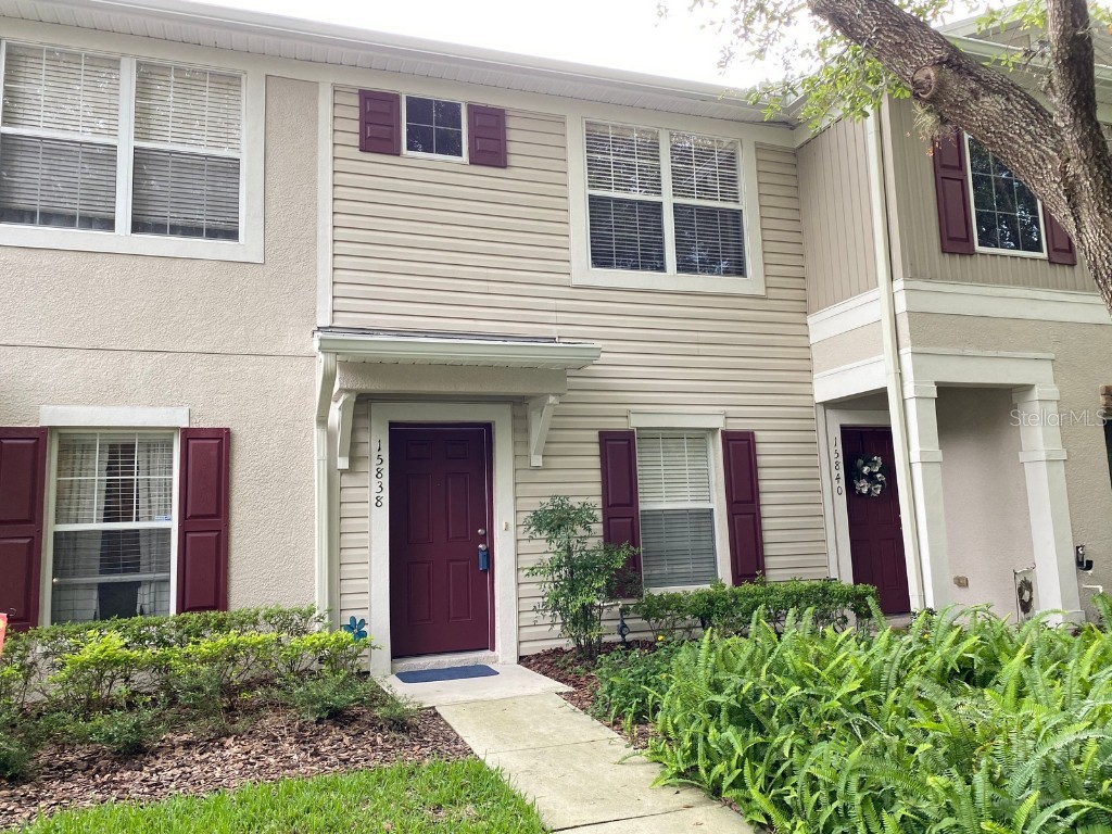 15838 Fishhawk Falls Drive Lithia FL 33547 T3320475 image1