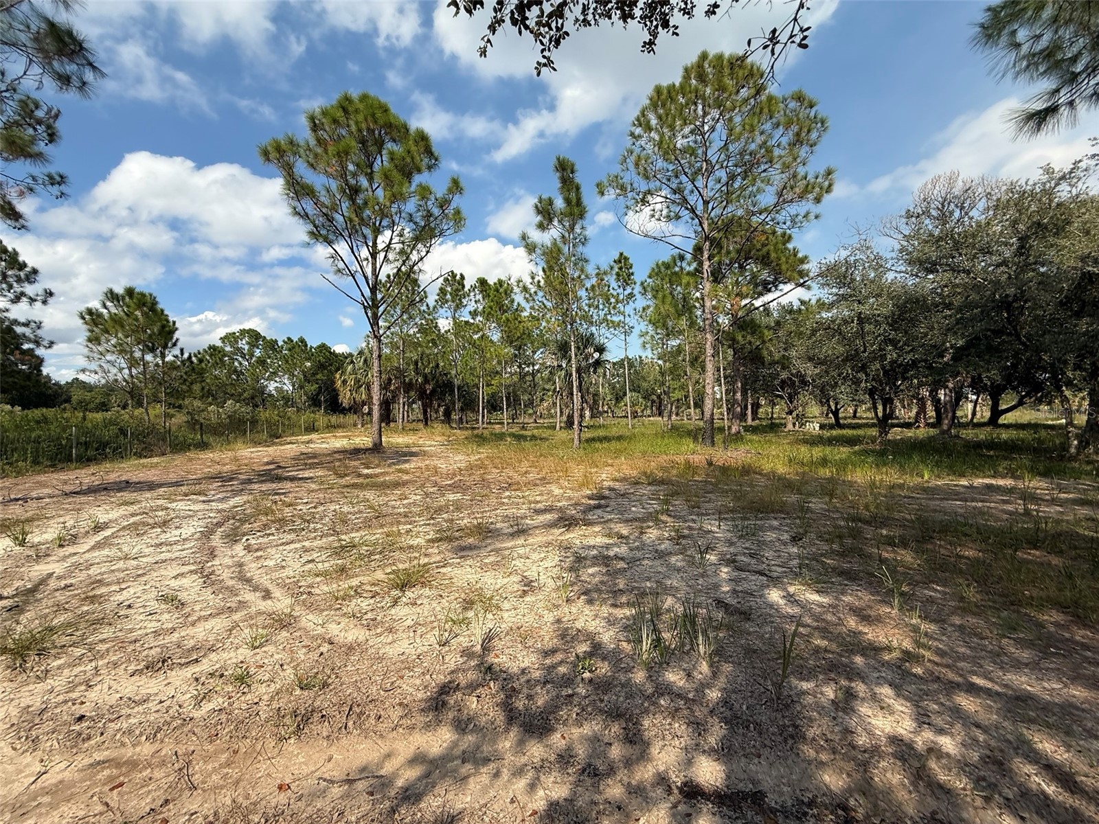 15838 NW 312th Street Okeechobee FL 34972 OK225672 image1