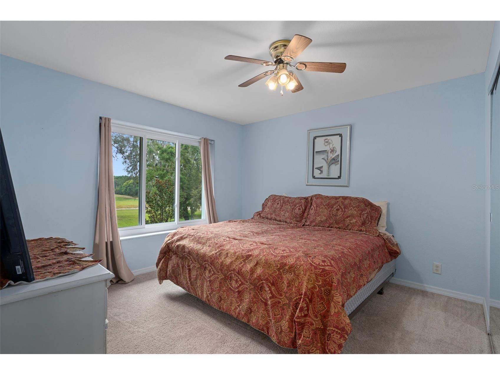 15839 Powerline Road Dade City FL 33523 TB8491794 image40
