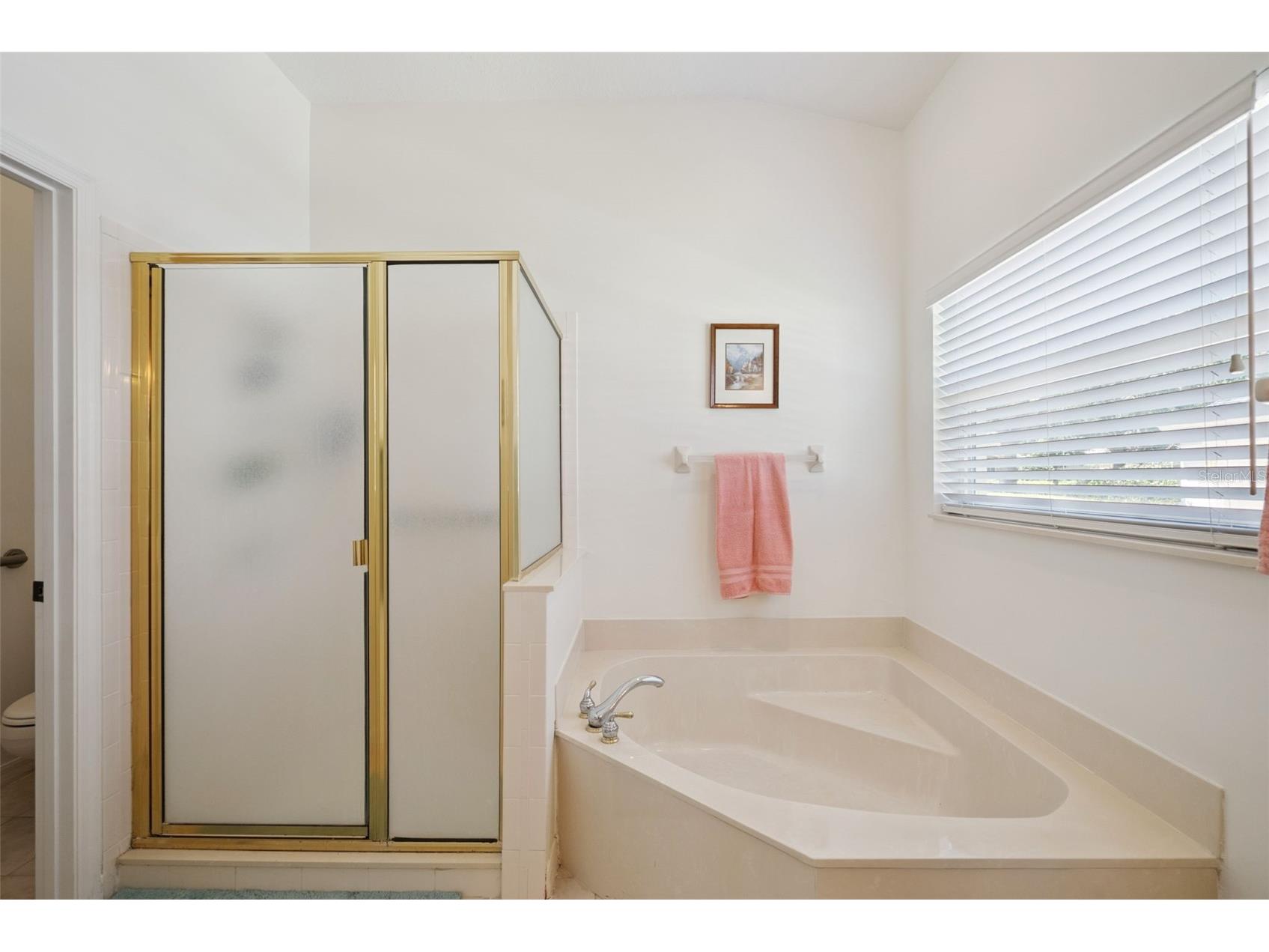 1584 Cherry Ridge Drive Lake Mary FL 32746 O6400755 image31