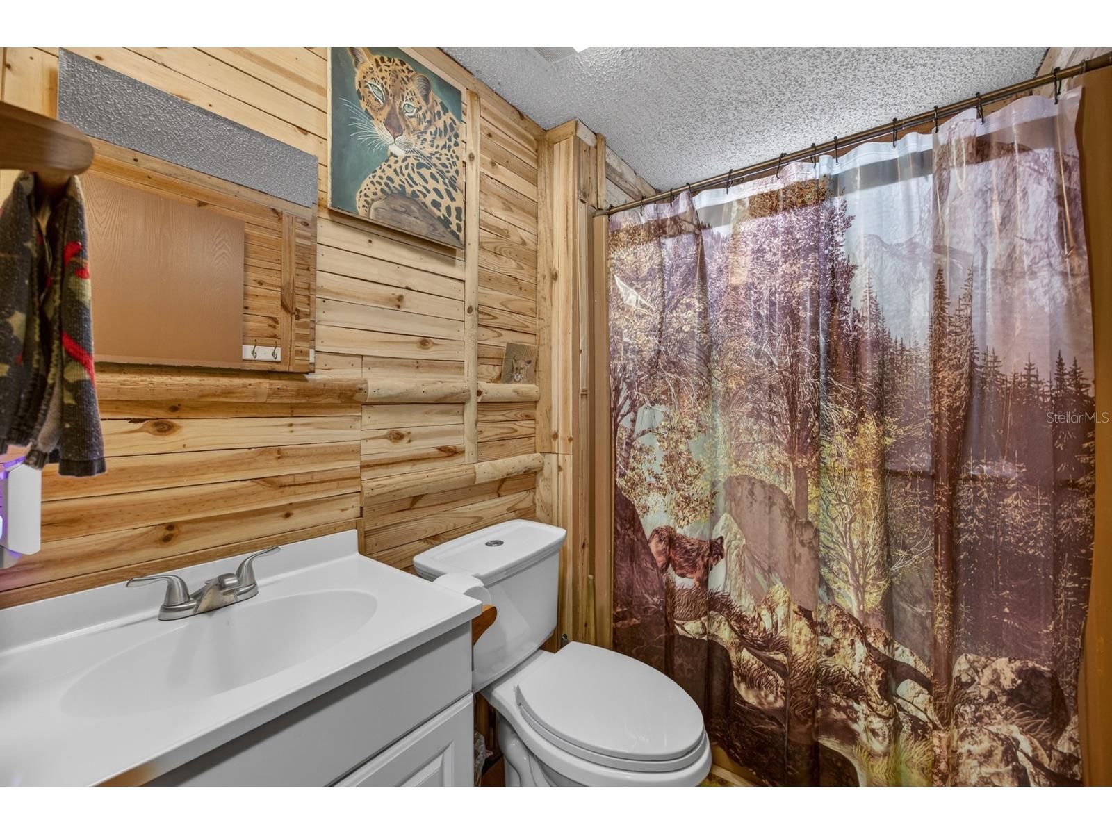 15840 Bermuda Street Orlando FL 32828 O6412711 image12