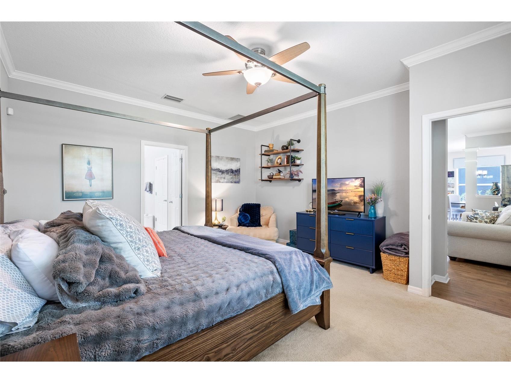 15841 Starling Water Drive Lithia FL 33547 TB8509853 image18