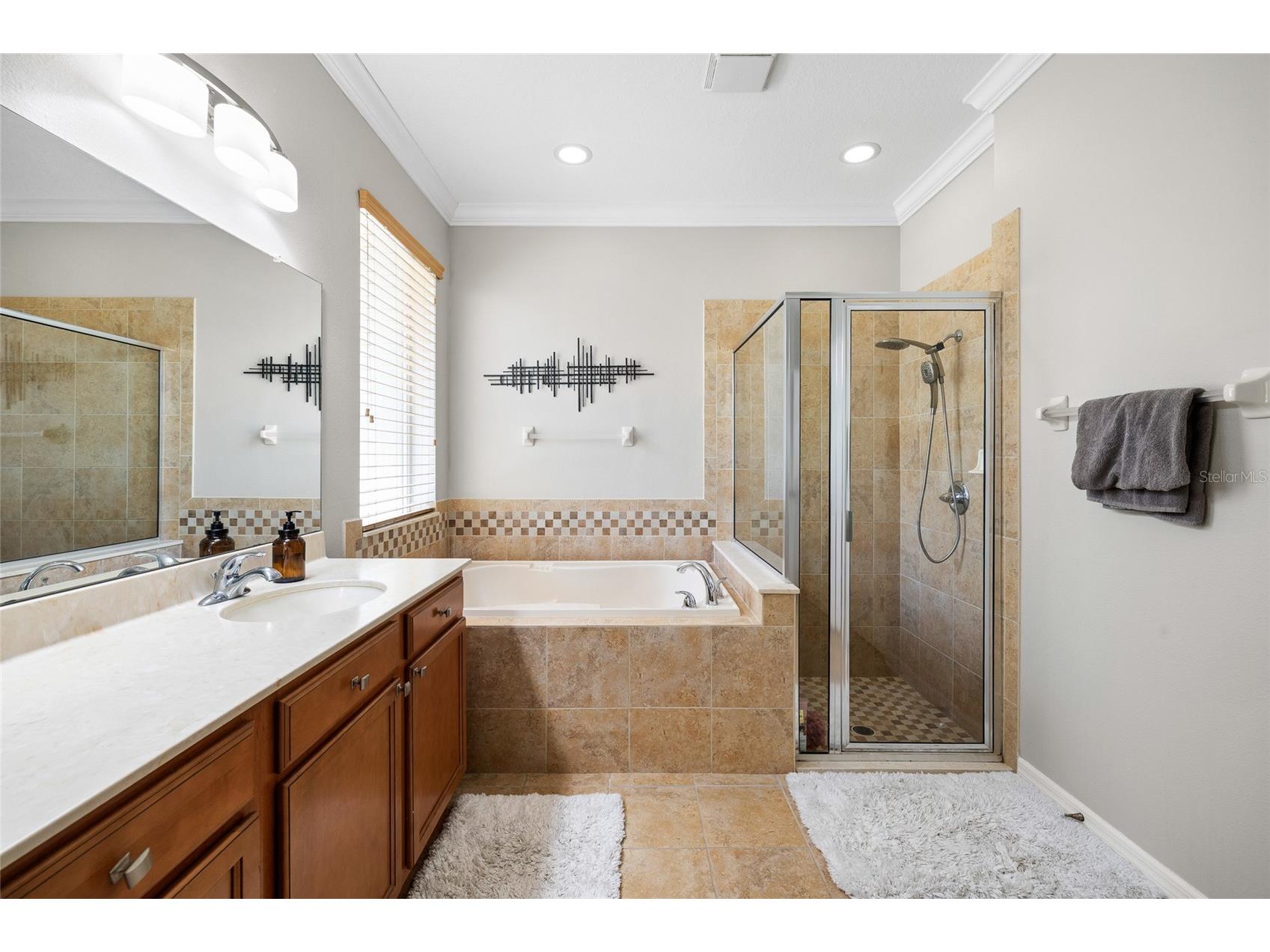 15841 Starling Water Drive Lithia FL 33547 TB8509853 image21